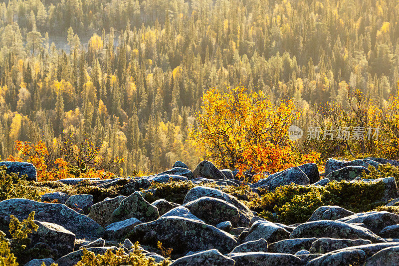 A view from a rocky Iso Pyhätunturi peak on a sunny autumn morning in Salla National Park, Finland